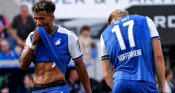 Hoffenheim - Beşiktaş  Maç Biletleri